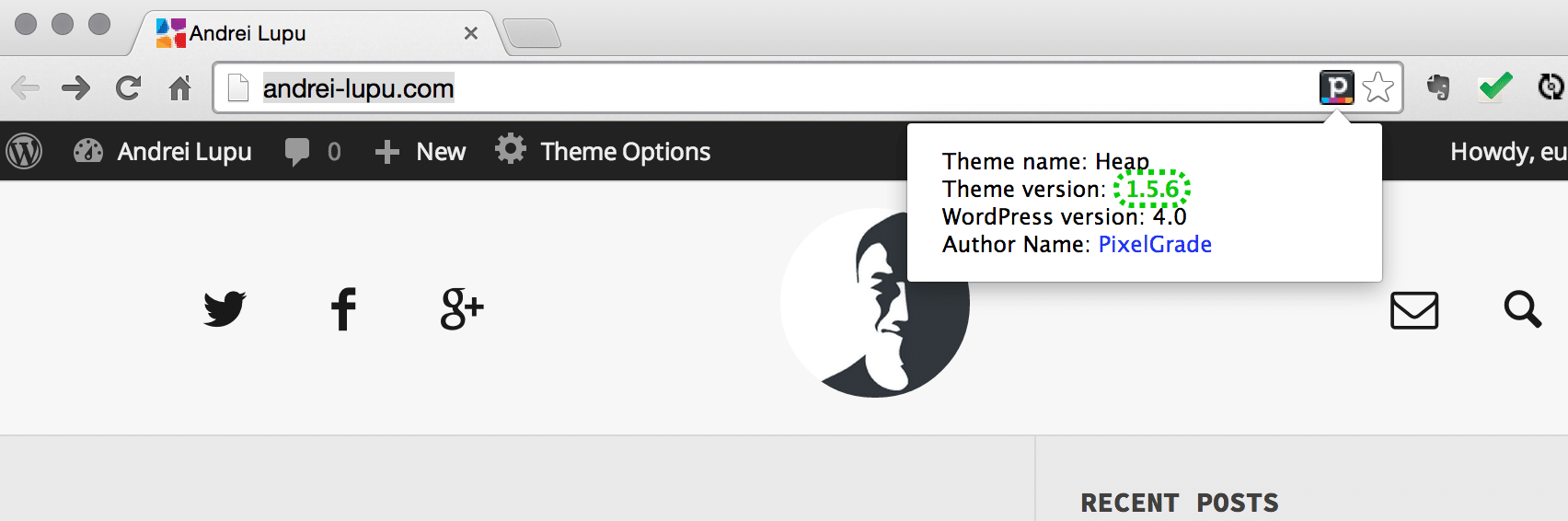 Check the WordPress version with a Chrome Extension